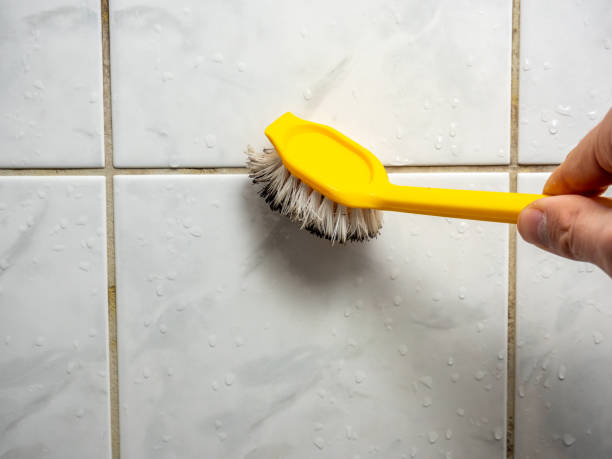 Best Post-Remediation Services in Granville South, OH
